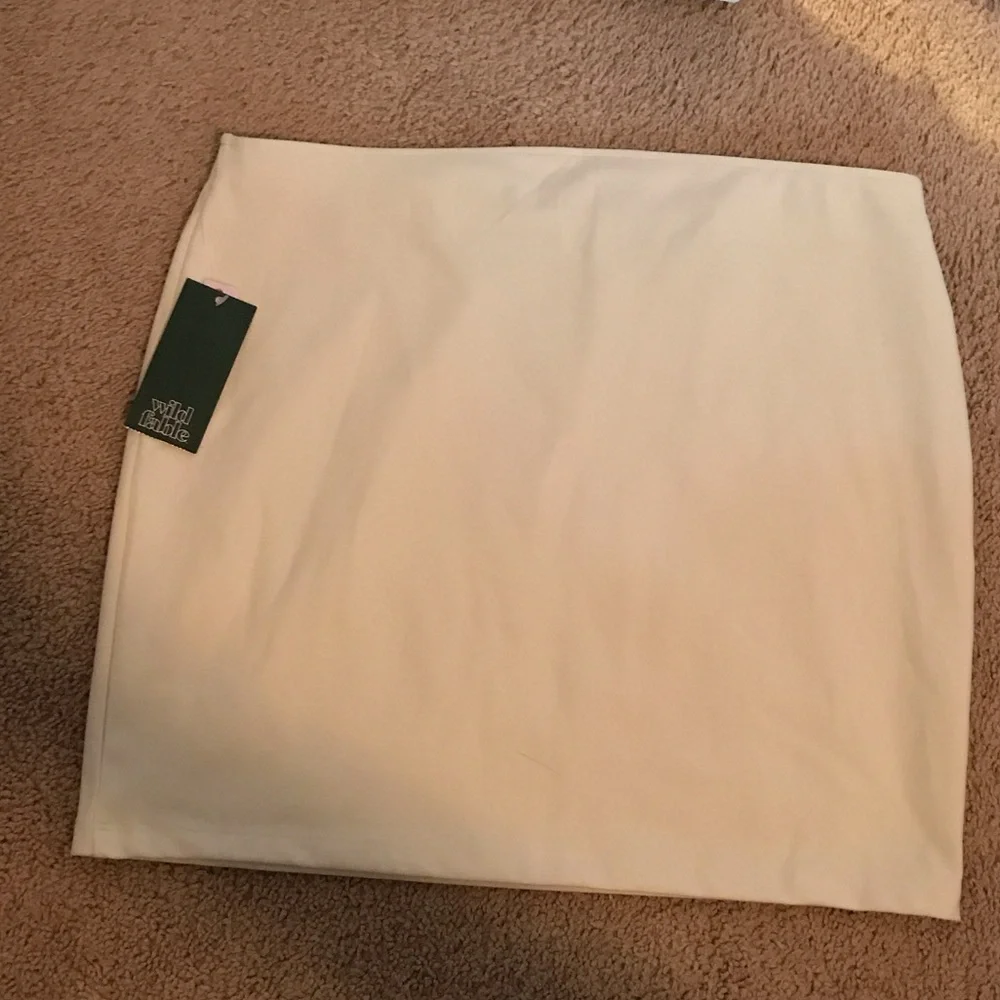 Wild Fable Tan Mini Skirt - Picture 1 of 4